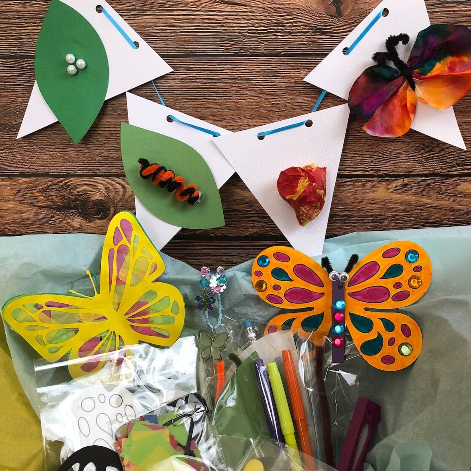 butterfly craft kit