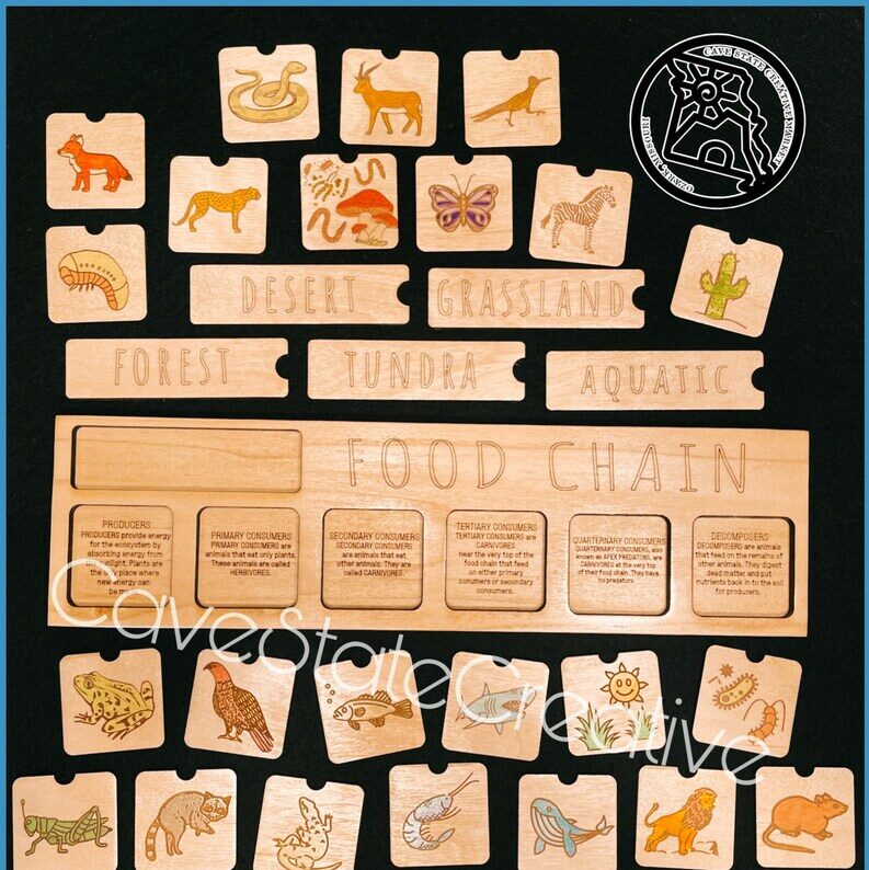 Food Chain Printable Puzzle