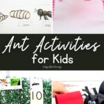 Ant Activities for Kids