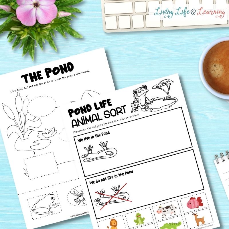 pond life worksheets