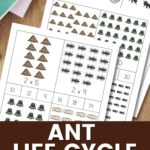 Ant Life Cycle Multiplication Cards