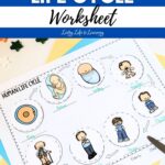 Human Life Cycle Worksheet activity on a table
