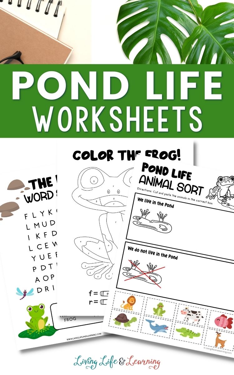 pond life worksheets