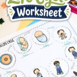 Human Life Cycle Worksheet on a table