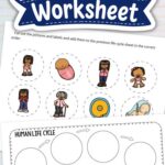 Two pages from the Human Life Cycle Worksheet