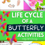 Life Cycle of a Butterfly Activities