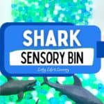 Shark Sensory Bin