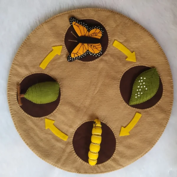 Butterfly Life Cycle Felt Board