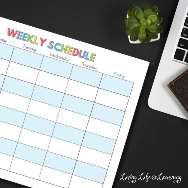 Homeschool Student Weekly Checklist