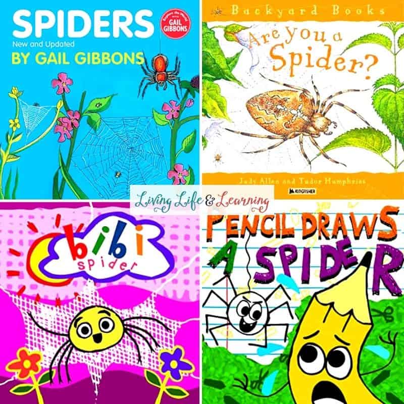 Spider Books for Kindergarten