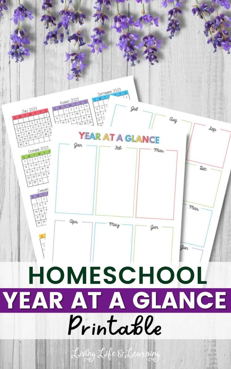 Homeschool Year At A Glance Printable