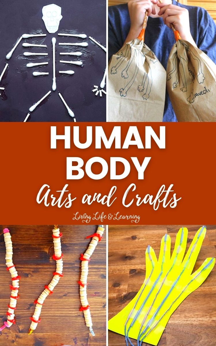Human Body Arts and Crafts