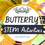 Butterfly STEM Activities