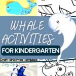 Whale Activities for Kindergarten