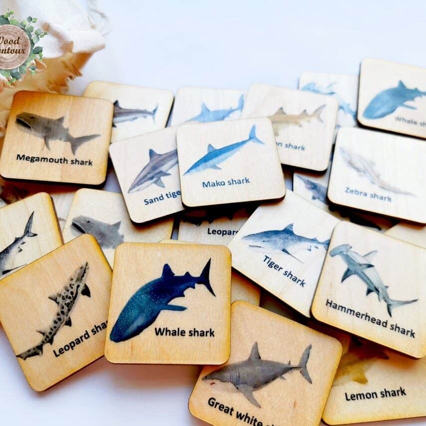 shark Montessori matching tiles