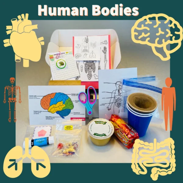 Human Body Learning Kit