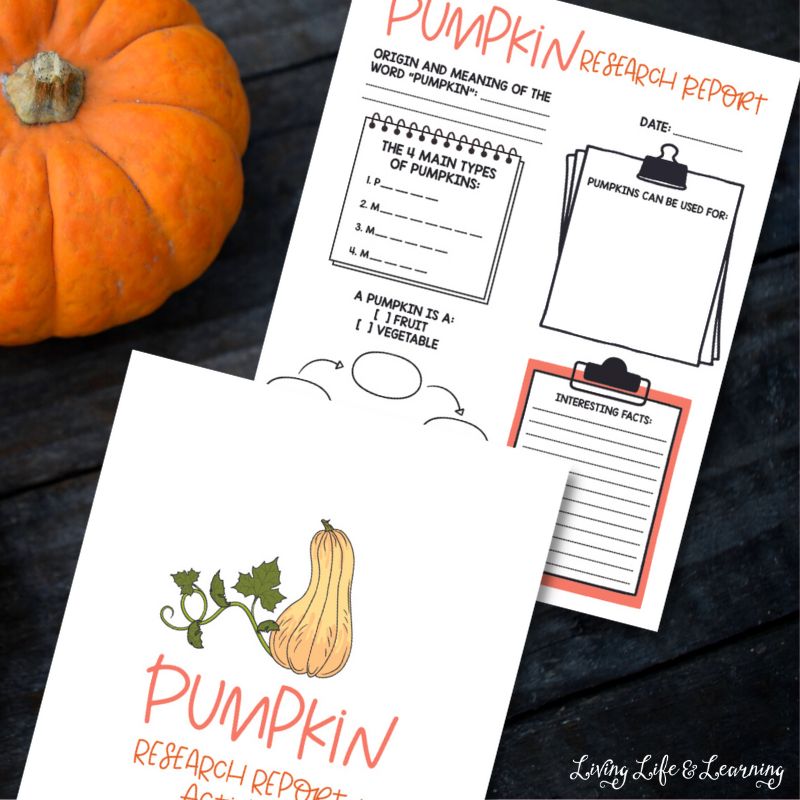 Pumpkin Worksheets for pumpkin research report