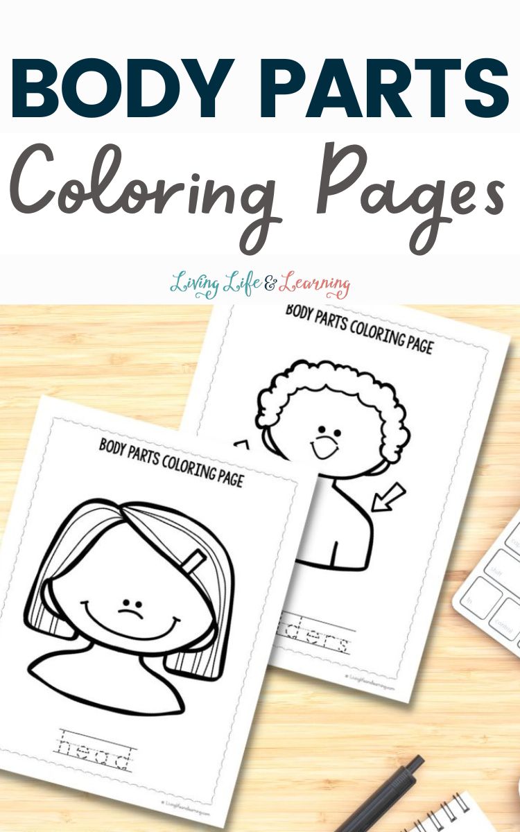 Body Parts Coloring Pages