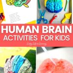 Human Brain Activities for Kids