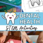 Dental Health STEM Activities