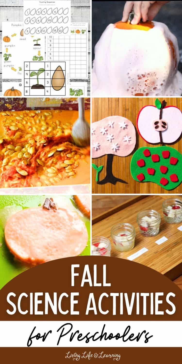 Fall Science Activities for Preschoolers