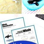 Whale Activities for Kids