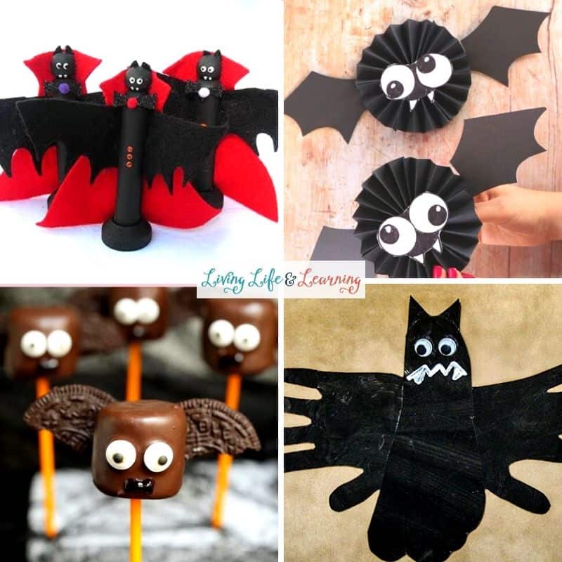 Bat Activities for Kids