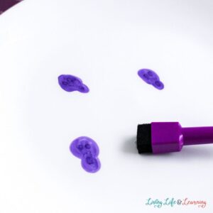 Spooky Dry Erase Floating Ink Experiment