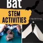 Bat STEM Activities