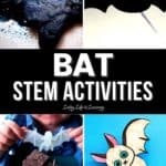 Bat STEM Activities