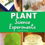 Plant Science Experiments