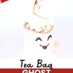 Tea Bag Ghost Experiment