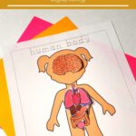 Kindergarten Human Body Worksheets