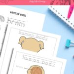 Kindergarten Human Body Worksheets