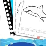 Shark Coloring Pages