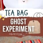 Tea Bag Ghost Experiment