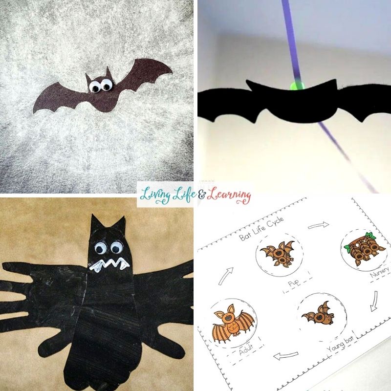 Bat Activities for Preschool