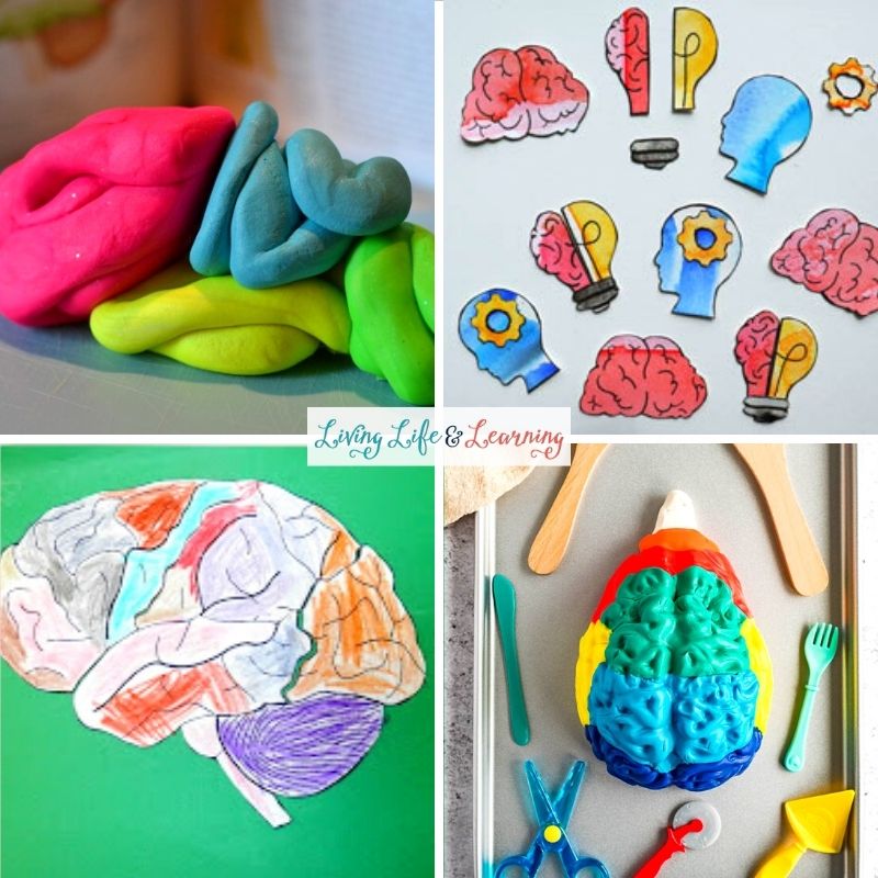 Brain Crafts for Kids