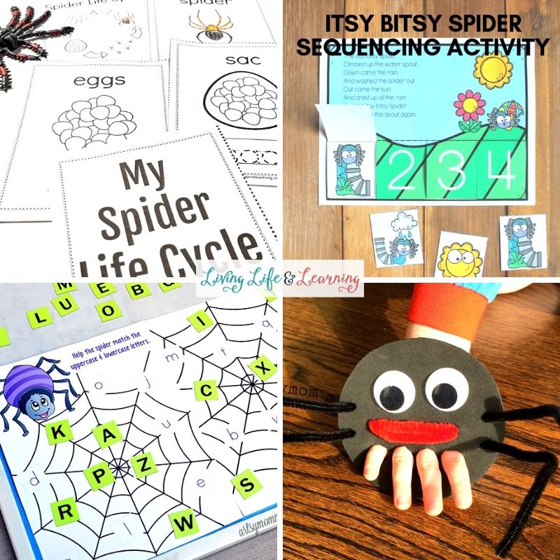 Spider Activities for Preschoolers