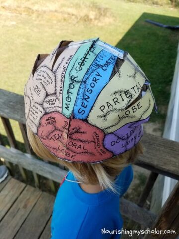 Brain Crafts for Kids: Fun Learning Activities