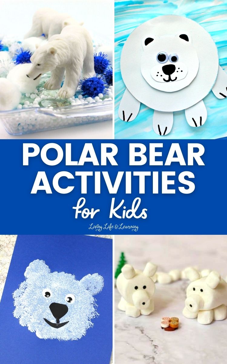 Polar Bear Activities for Kids