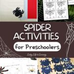 Spider Activities for Preschoolers