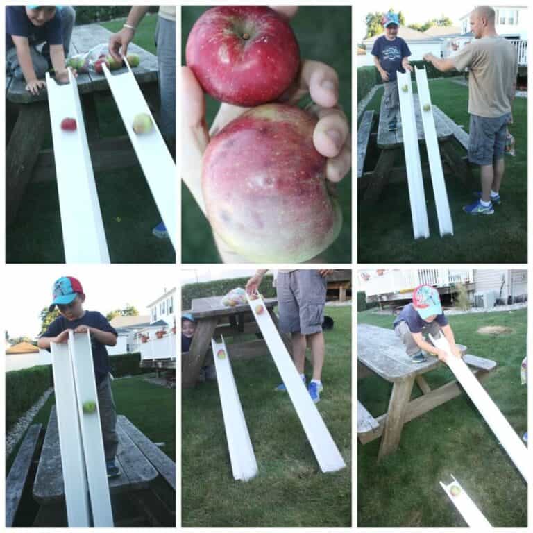 Fall STEM Activities