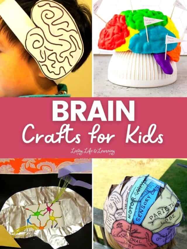 Brain Crafts for Kids Story