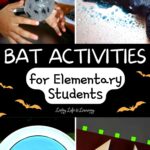 Bat Activities for Elementary Students