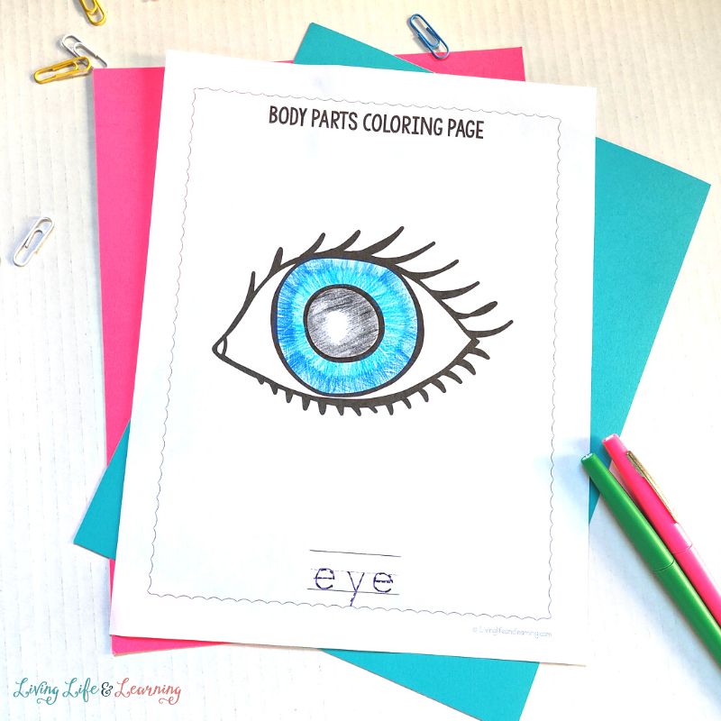 Body Parts Coloring Page of the eye
