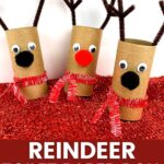 Reindeer Toilet Paper Roll Craft