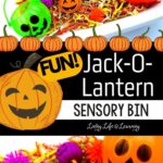 Fun Jack-O-Lantern Sensory Bin