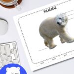 Label a Polar Bear Worksheet