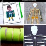 Skeleton Activities for Elementary Students
